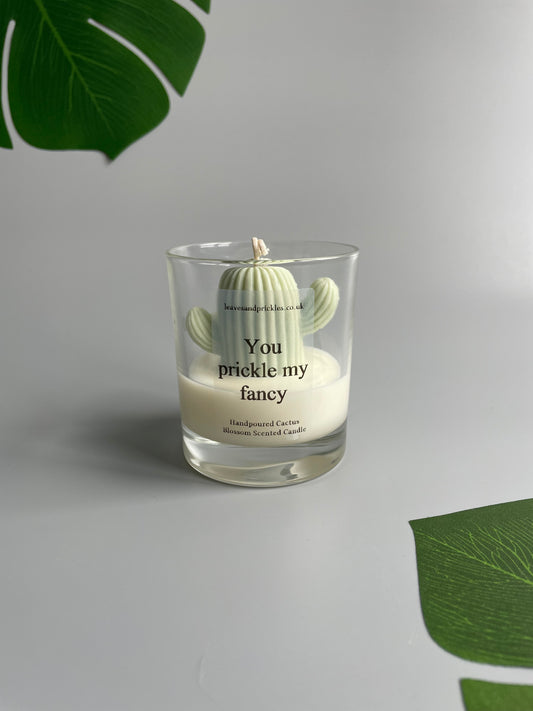 You prickle my fancy Cactus Candle in Clear Glass Jar