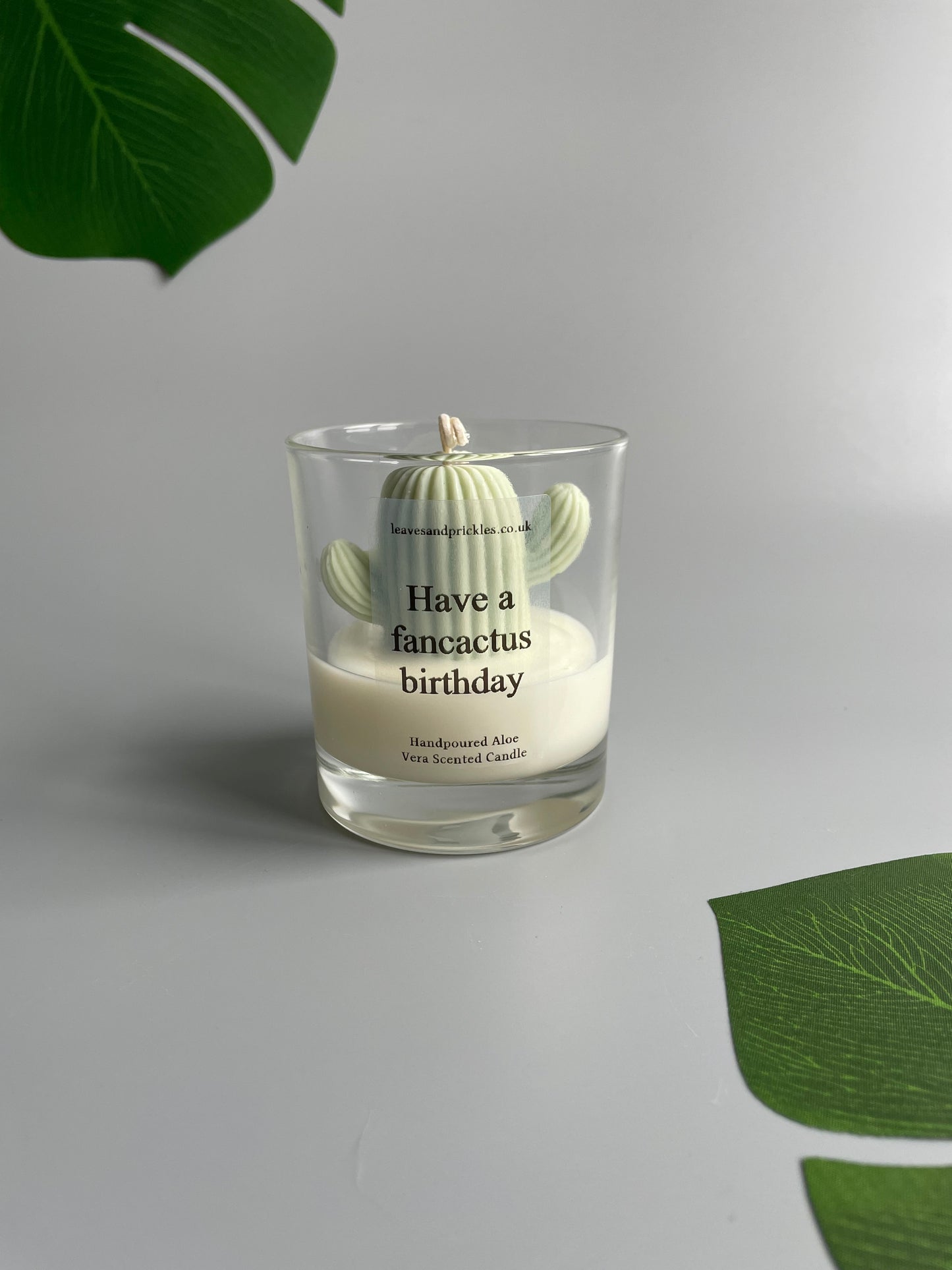 Have a fancactus birthday Cactus Candle in Clear Glass Jar