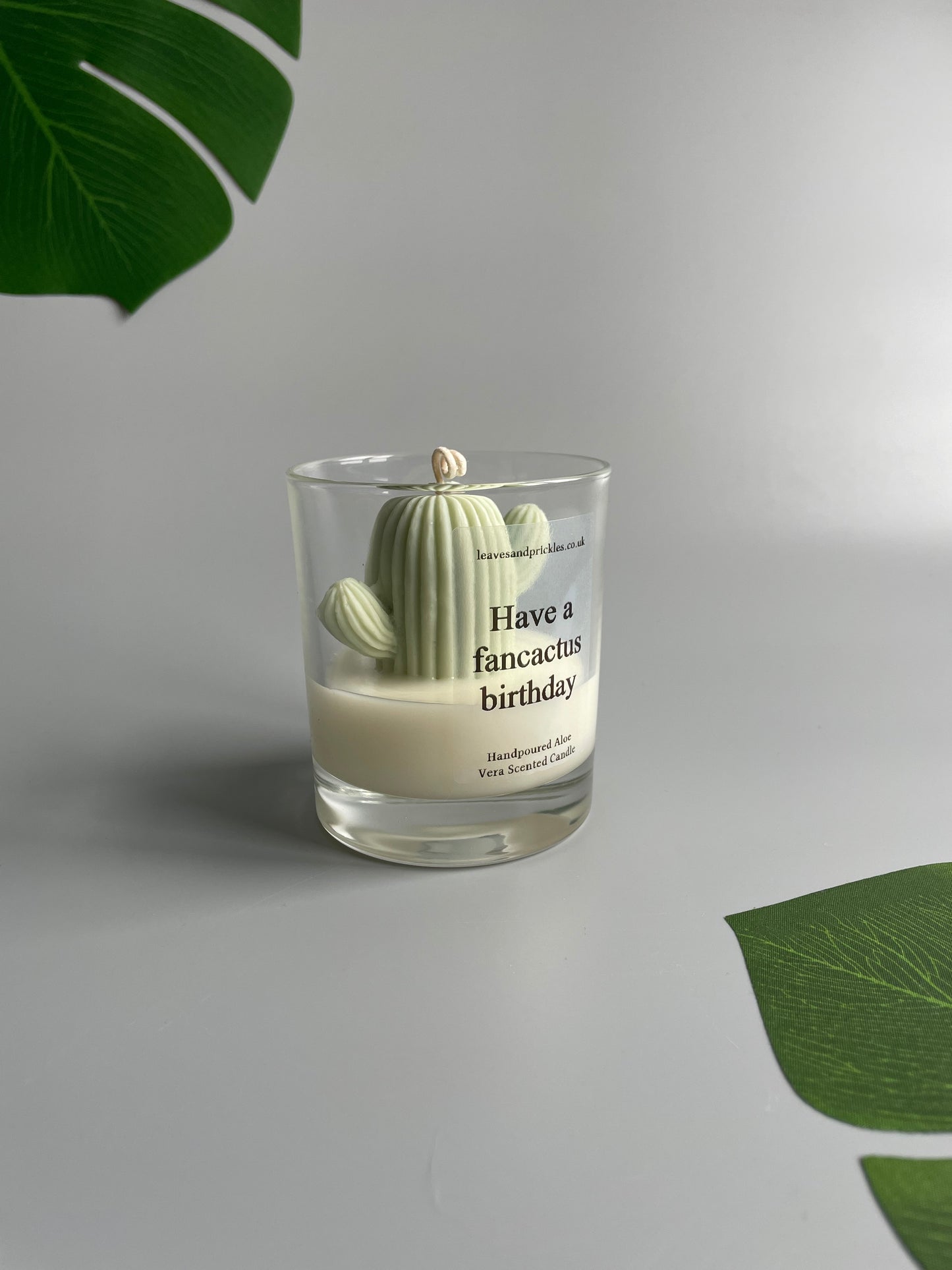 Have a fancactus birthday Cactus Candle in Clear Glass Jar