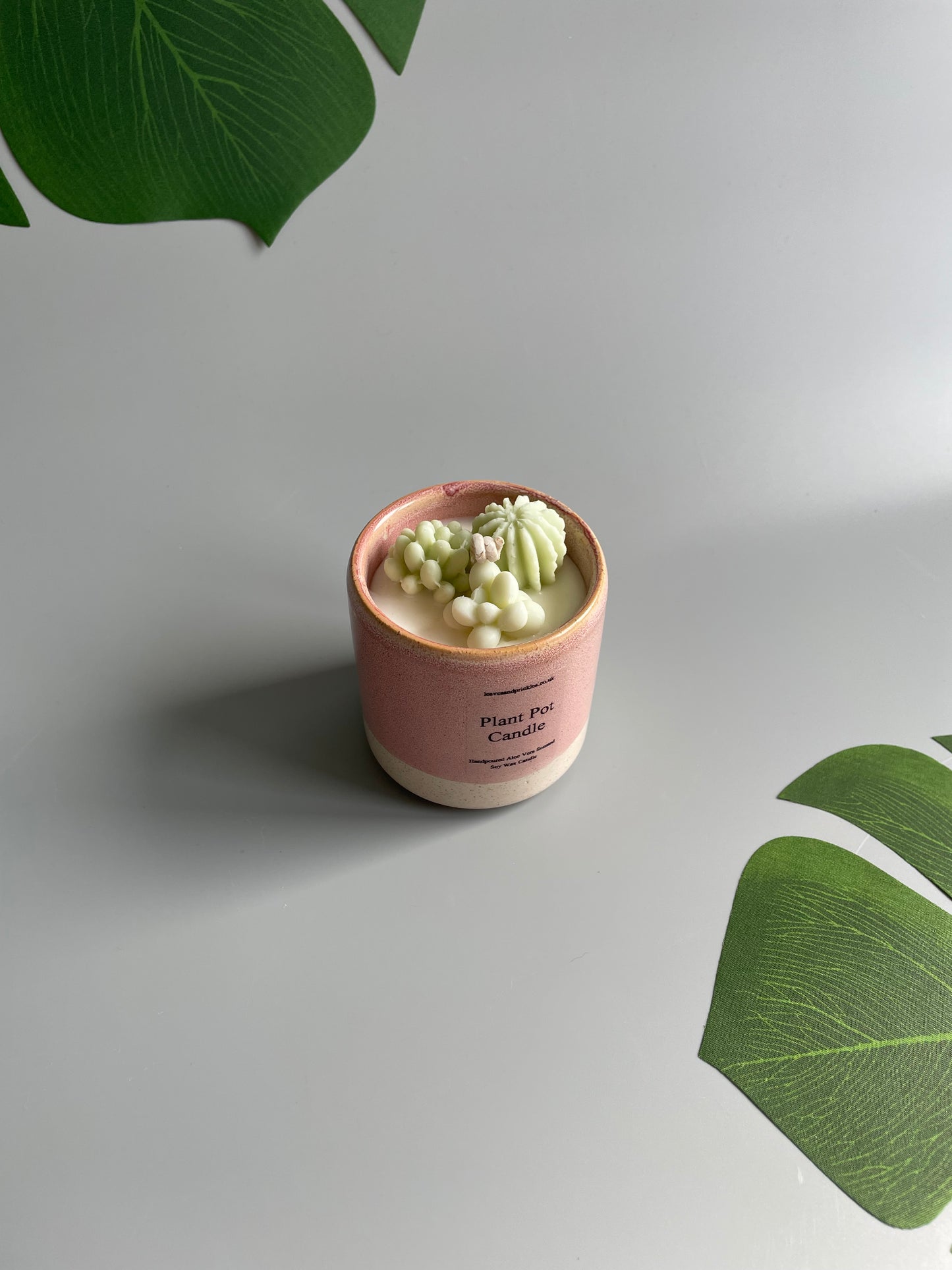 Pink Ceramic Plan Pot Candle (all green succulents)