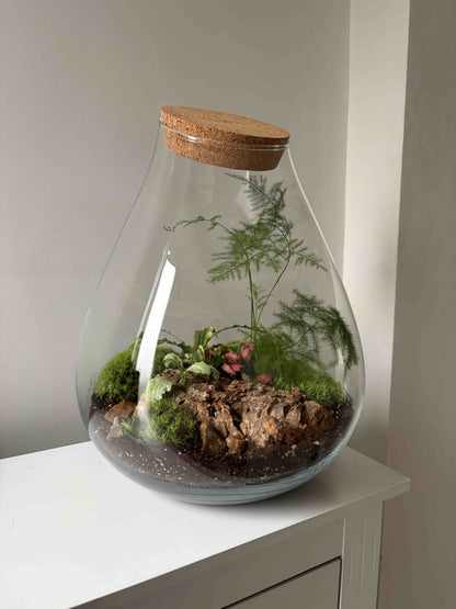 Glass terrarium with plants 