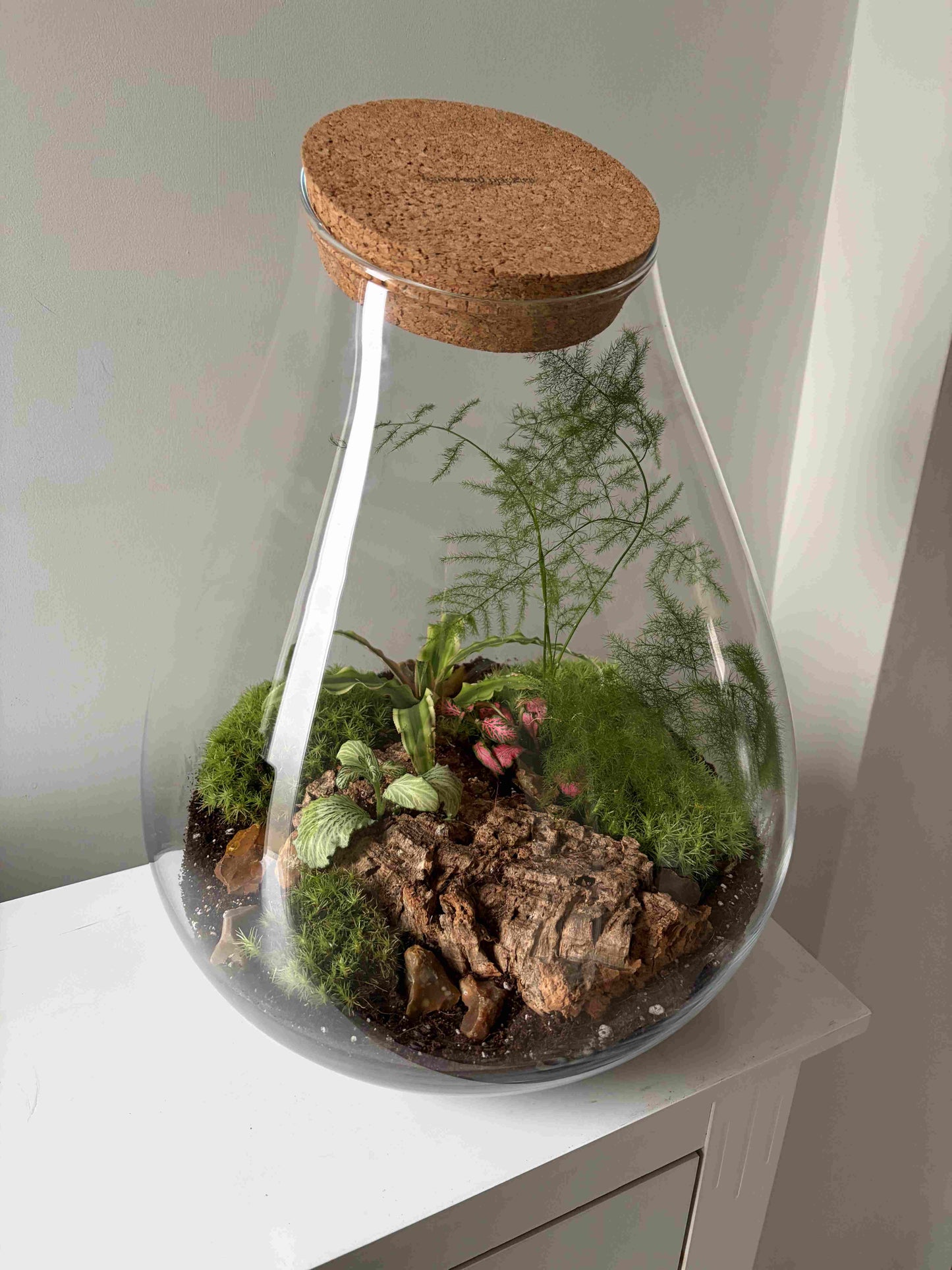 Large Glass Terrarium Handmade Indoor Terrarium