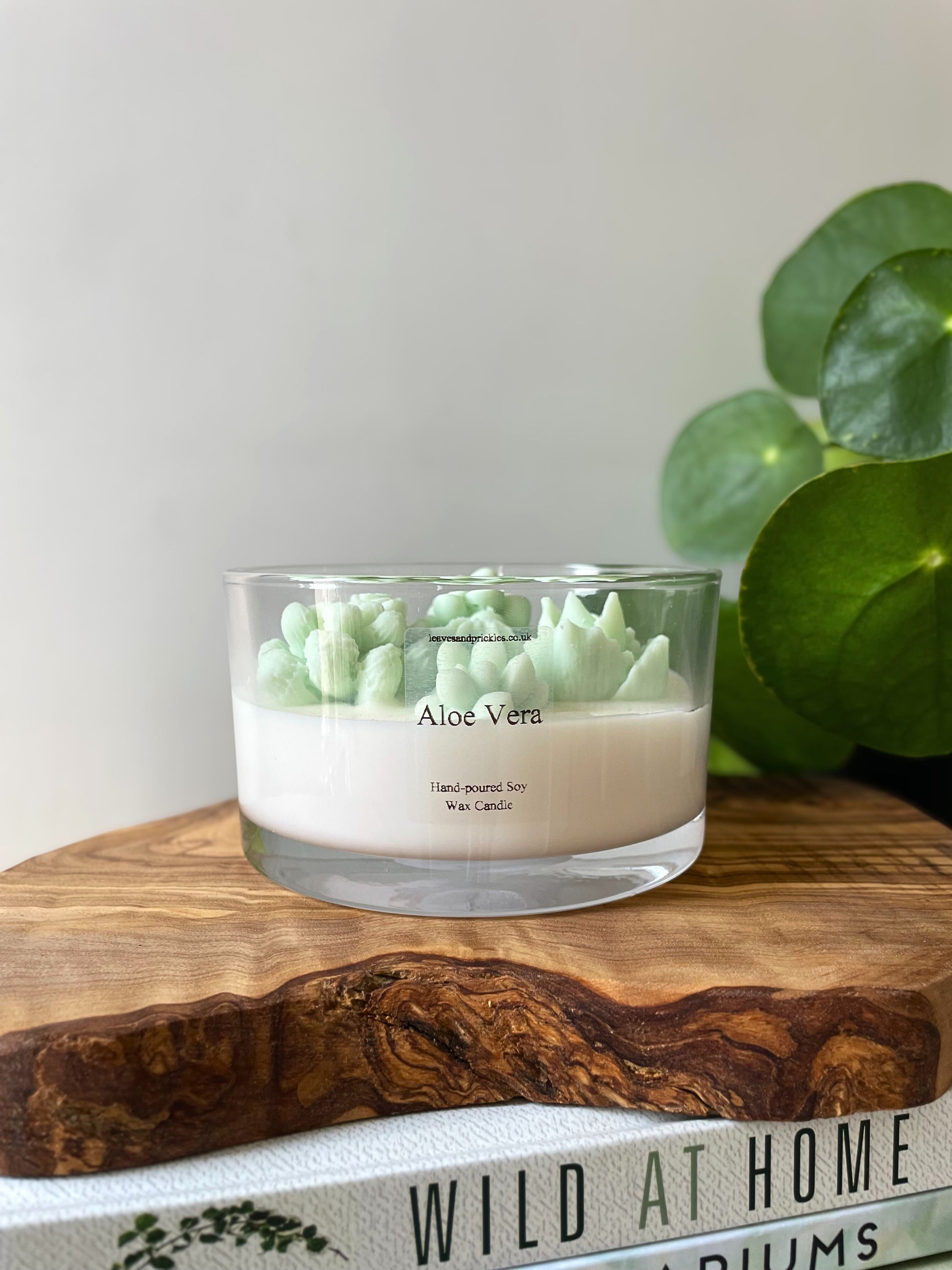Large terrarium cactus candle in glass jar aloe vera scent