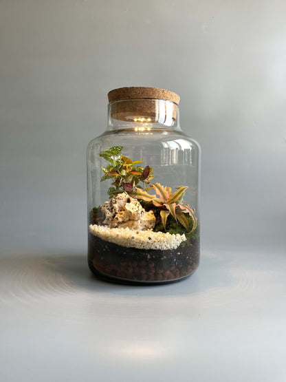 Large terrarium container with plants and light 