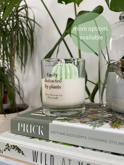 Plant Lover Barrel Cactus Candle
