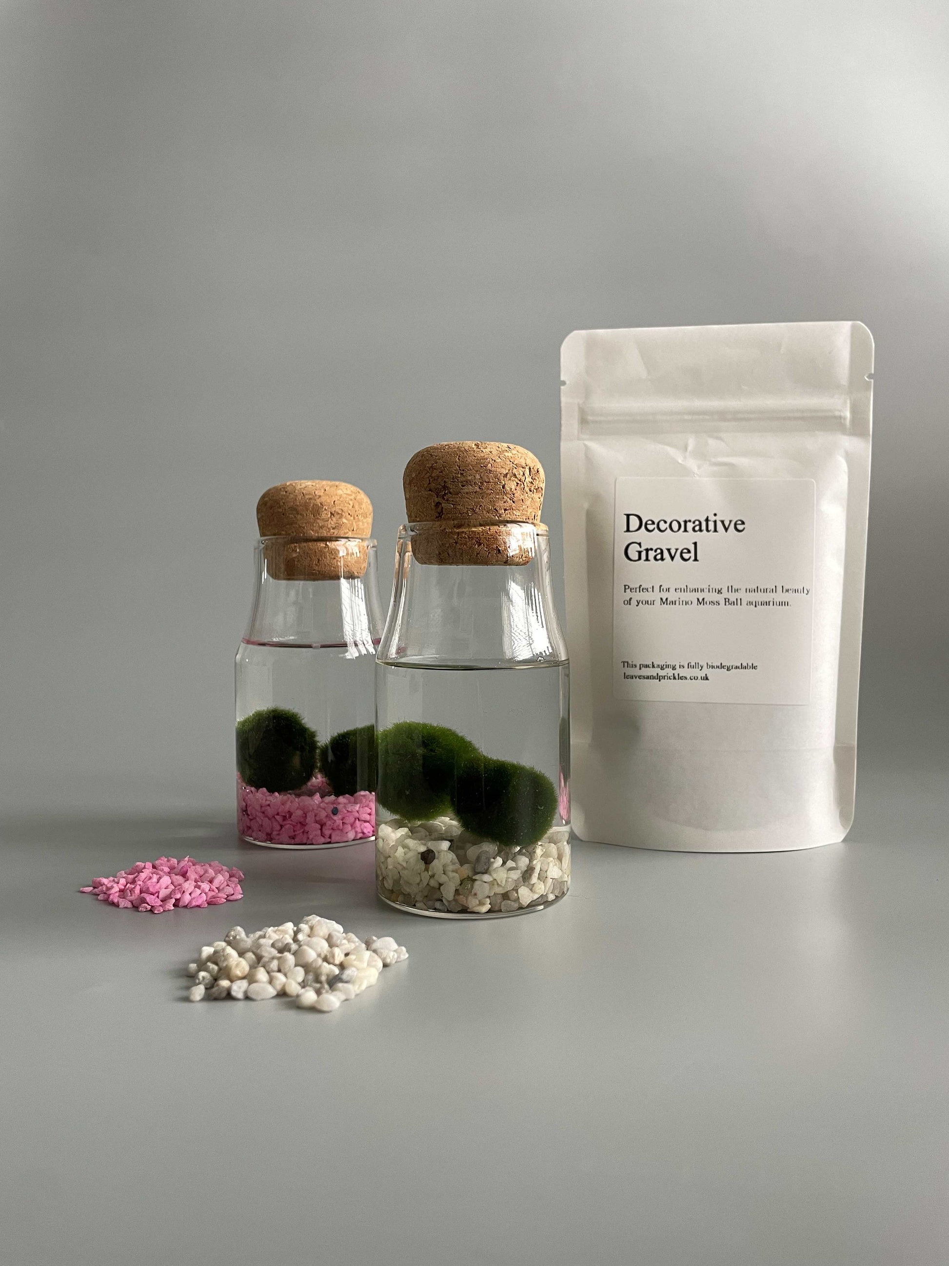 Marimo moss balls kit 