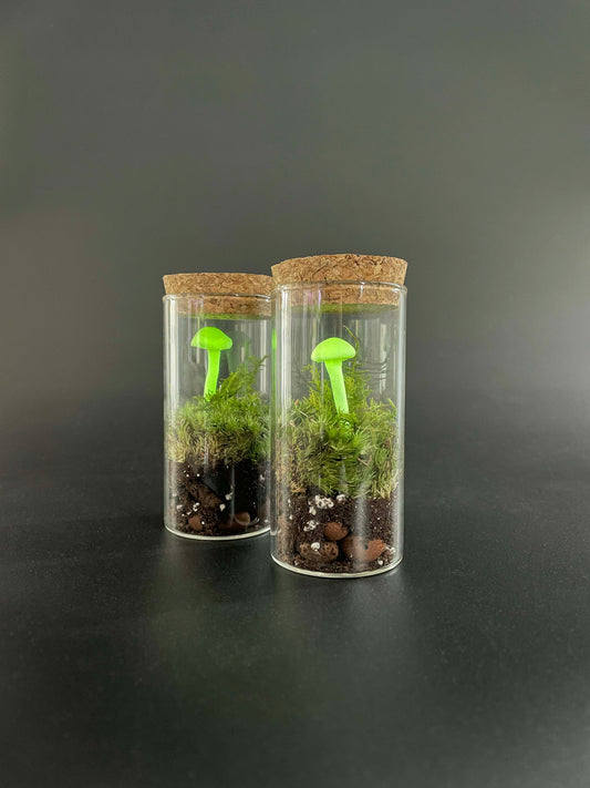 Mini mossarium with glow-in-the-dark mushrooms