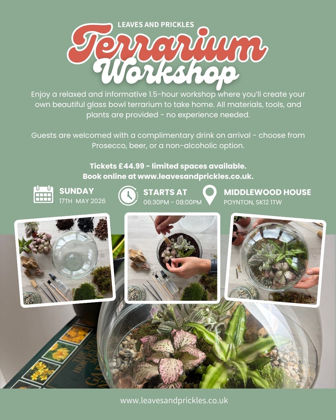 Glass Bowl Terrarium Workshop Poynton - Sunday 17th May | 6.30pm – 8pm