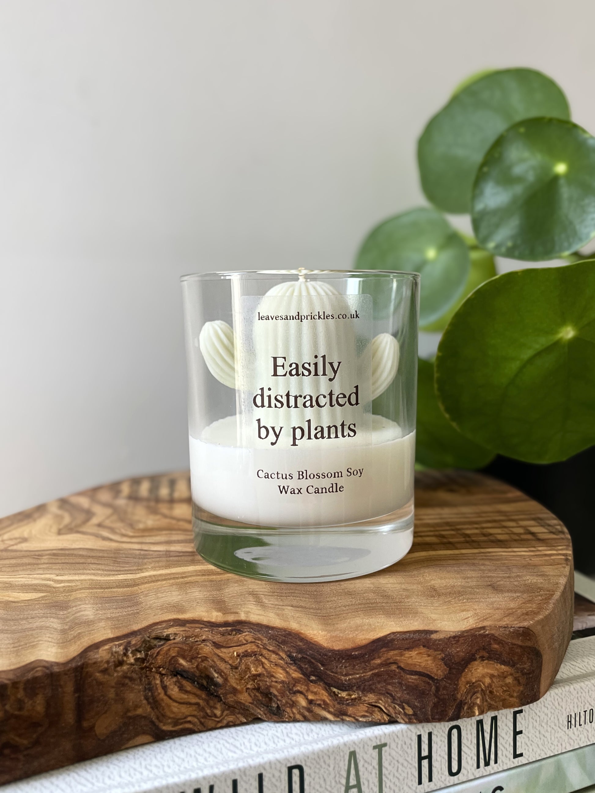 Plant lover gift cactus candle in glass jar 