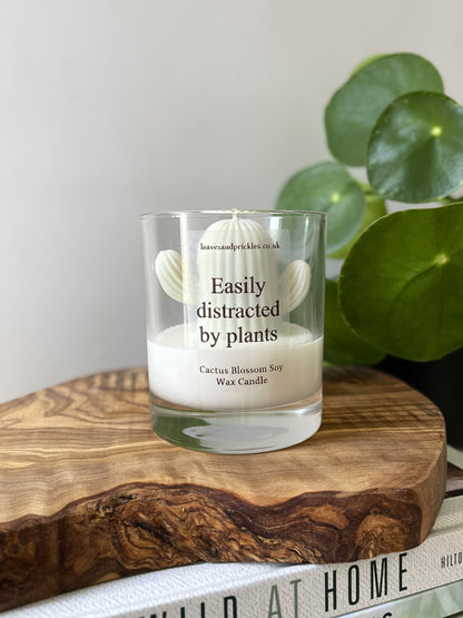 Plant lover gift cactus candle in glass jar 