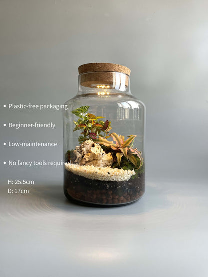 Light-up Terrarium Kit - H: 25.5cm D: 17cm