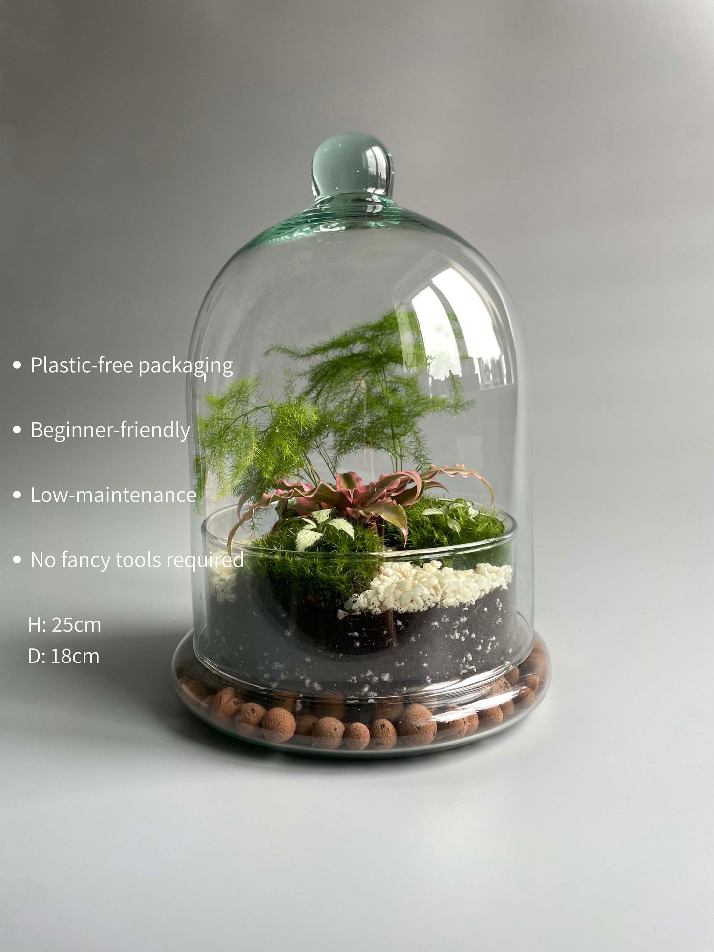 Glass Dome Terrarium Kit - H: 25cm D: 18cm