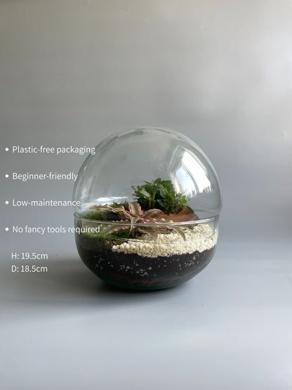 Glass Bowl Terrarium Kit - H: 19.5cm D: 18.5cm