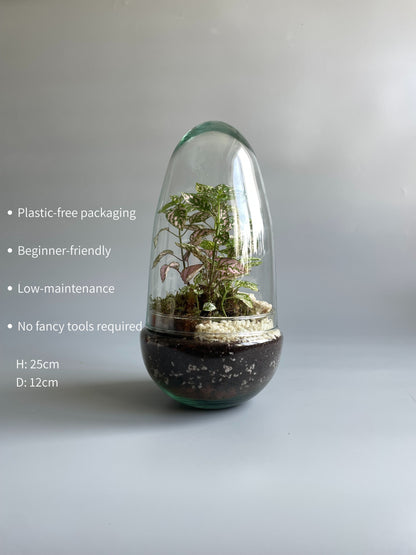 Glass Egg Terrarium Kit - H: 25cm D: 12cm