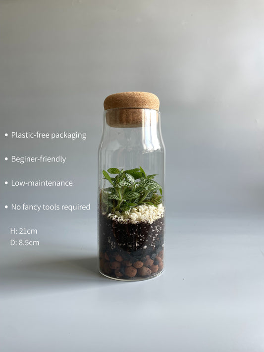 Bottle Terrarium Kit - H: 21cm D: 8.5cm