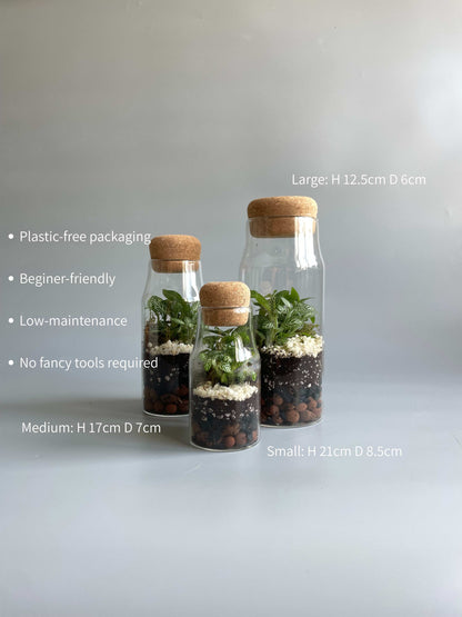 Bottle Terrarium Kit Bundle - S/M/L