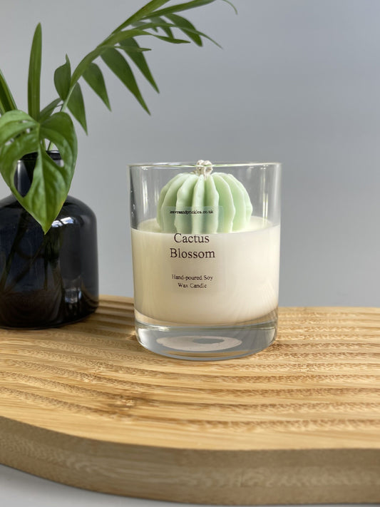 round cactus candle 