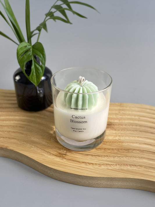 round cactus candle 