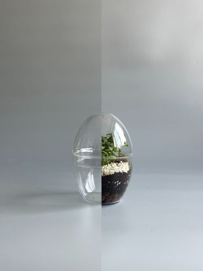 Small egg-shaped terrarium container 
