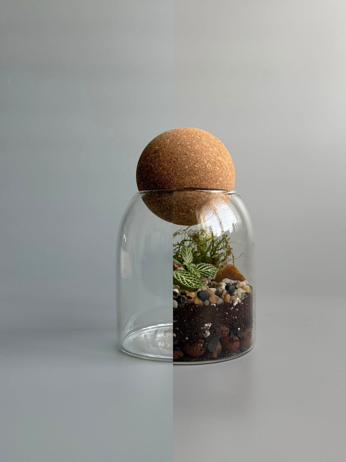 Small Glass Terrarium Container with Round Cork Lid - H: 13.5cm D: 8.8cm