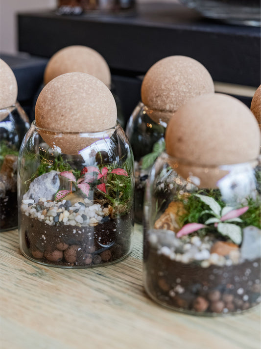 Small Glass Terrarium Container with Round Cork Lid - H: 13.5cm D: 8.8cm