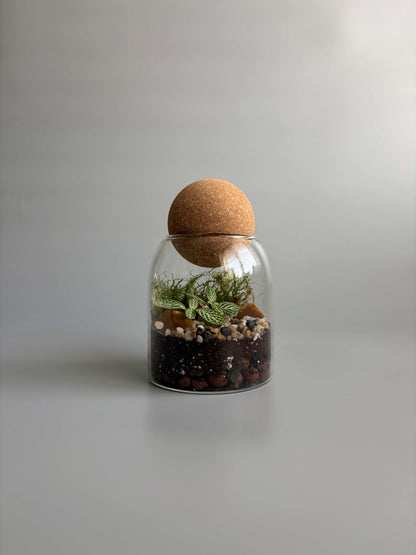 Small Glass Terrarium Container with Round Cork Lid - H: 13.5cm D: 8.8cm