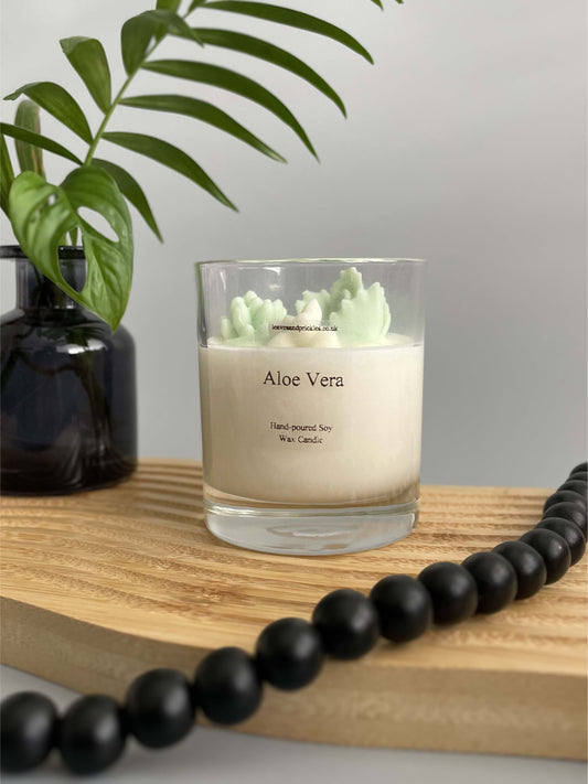 terrarium cactus candle green