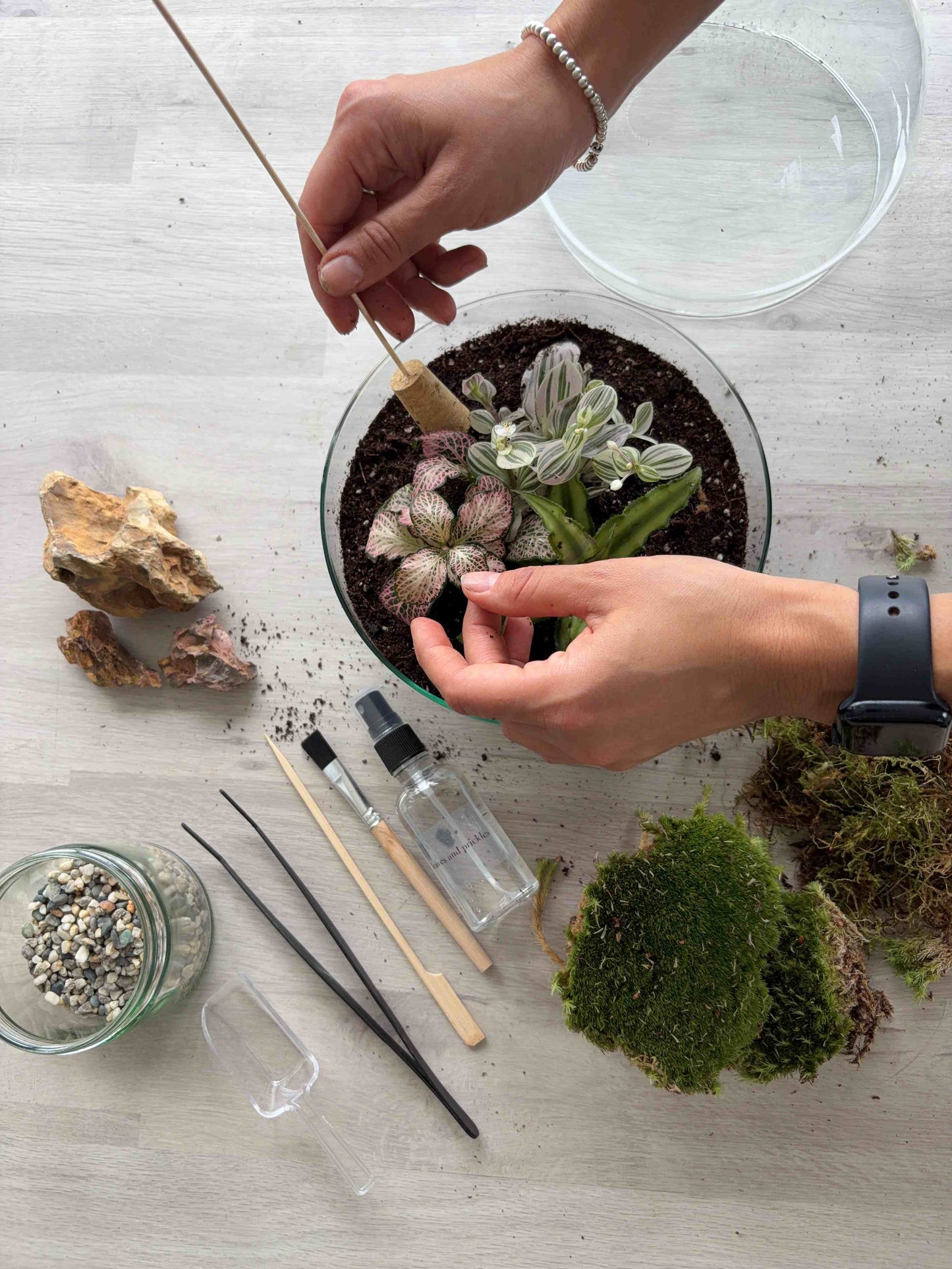 Glass Bowl Terrarium Workshop Poynton - Sunday 17th May | 6.30pm – 8pm