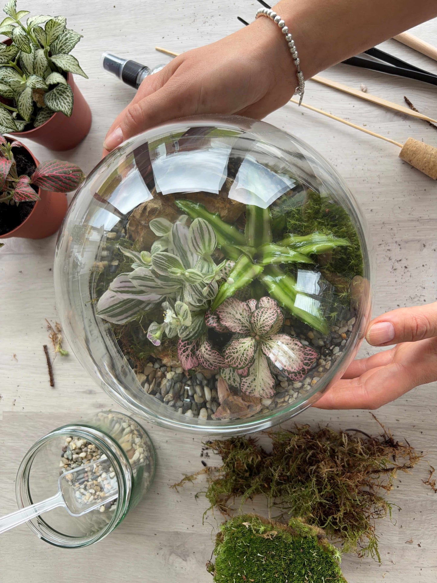 Glass Bowl Terrarium Workshop Poynton - Sunday 17th May | 6.30pm – 8pm