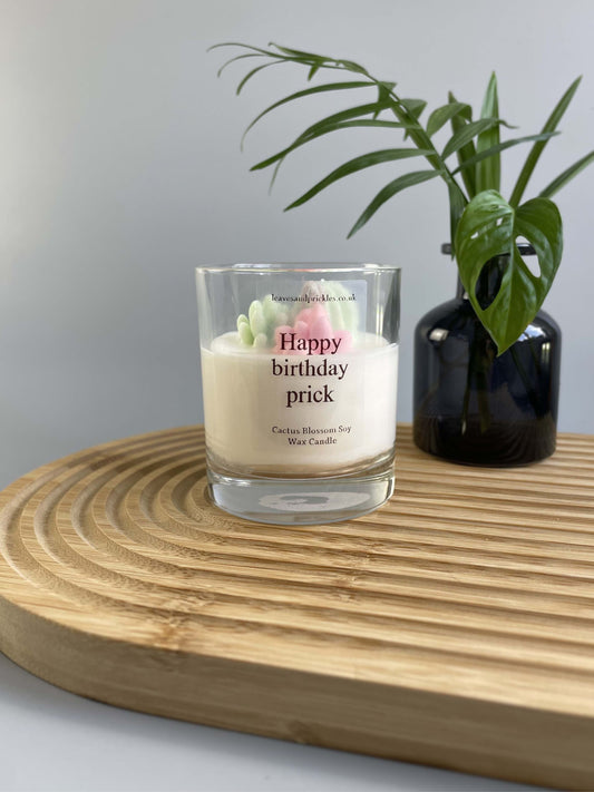 Terrarium cactus candle birthday gift 