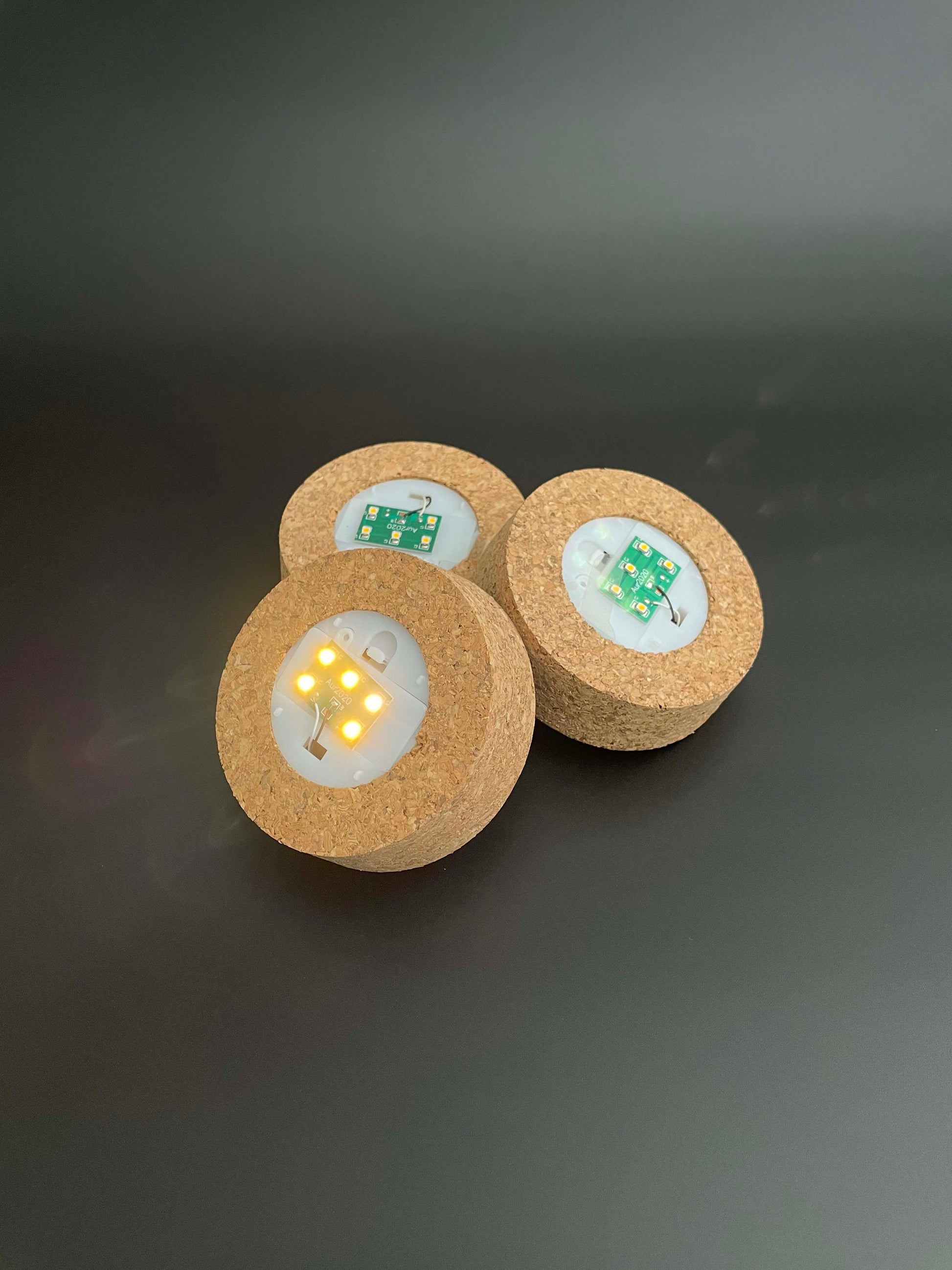 Terrarium cork with LED light 