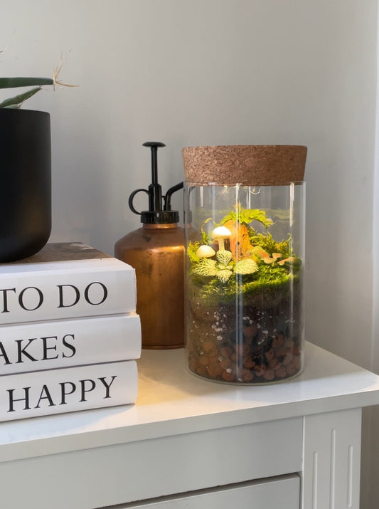 Terrarium with light 