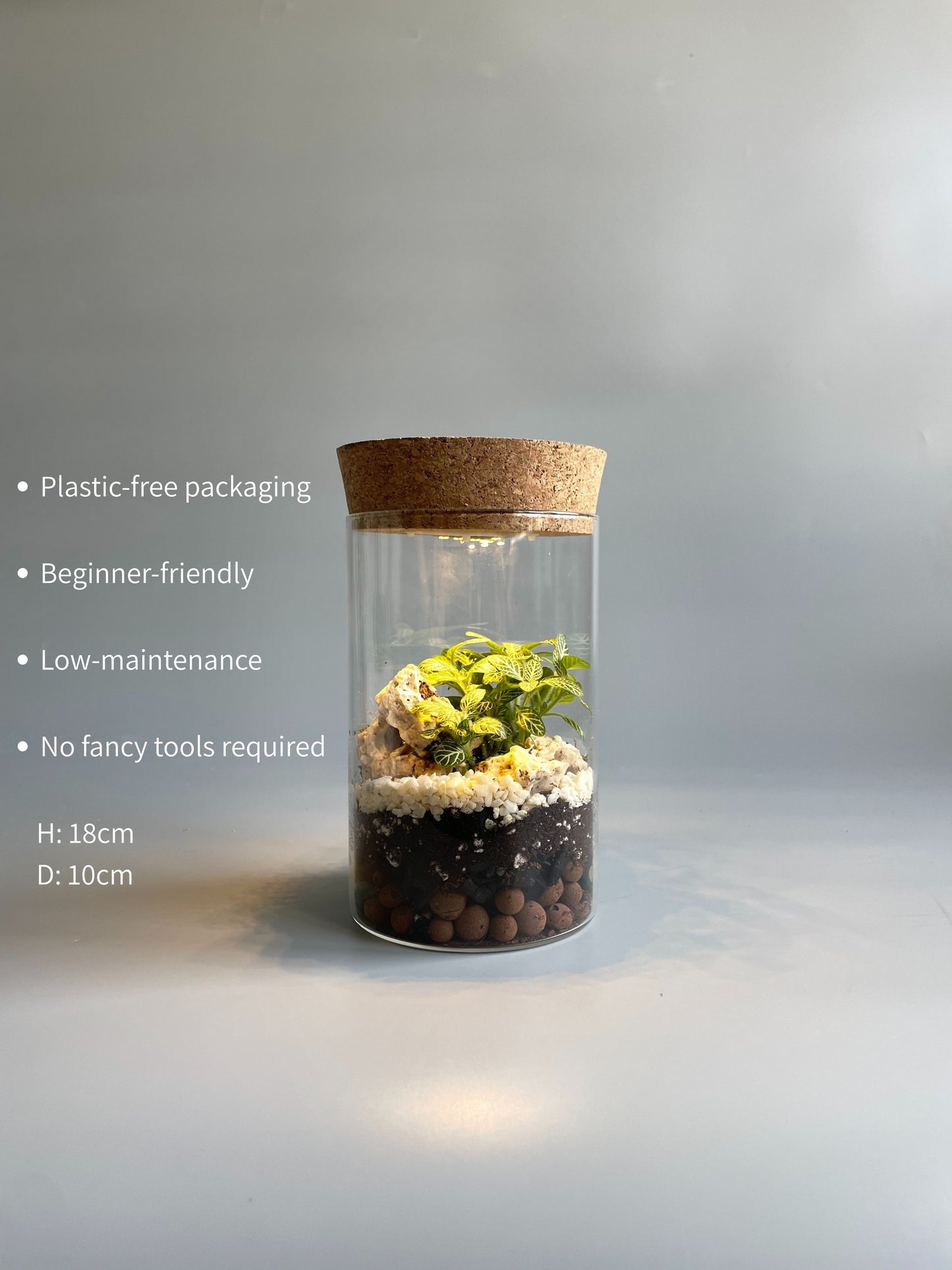 Glass terrarium with cork lid and light on a grey background, featuring text about its features.