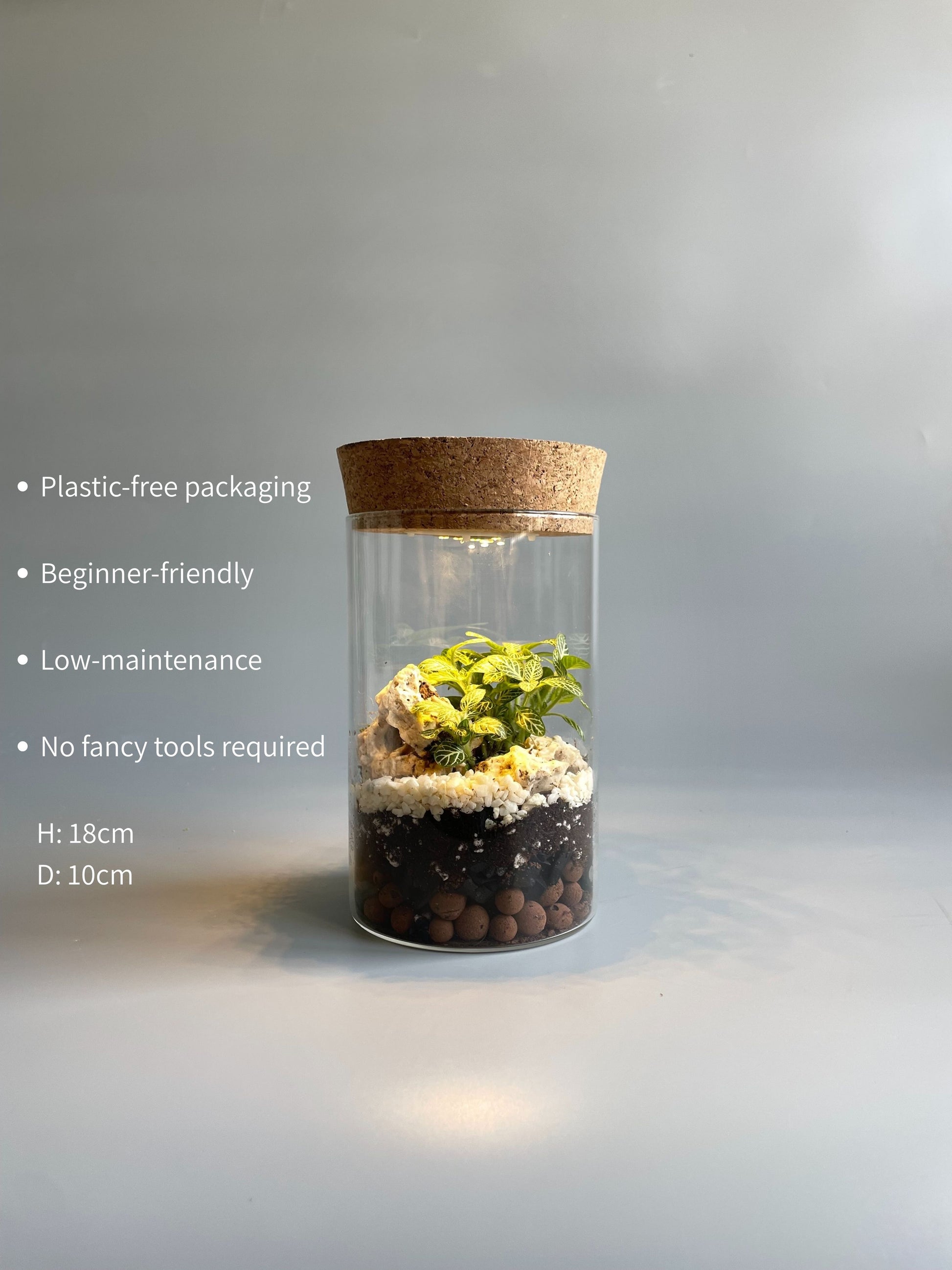 Glass terrarium with cork lid and light on a grey background, featuring text about its features.
