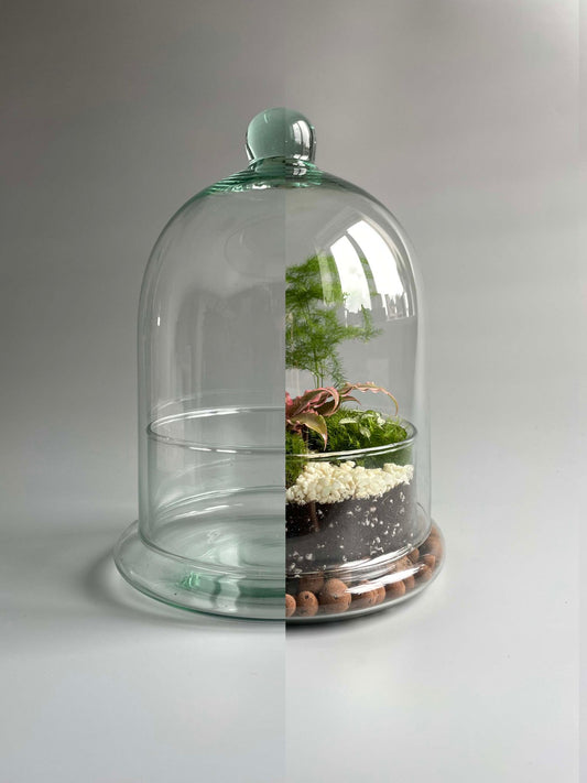 Glass Dome Terrarium Container -  H: 25cm D: 18cm