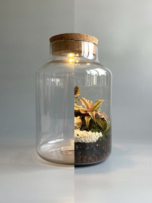 Light-up Terrarium Container - H: 25.5cm D: 17cm
