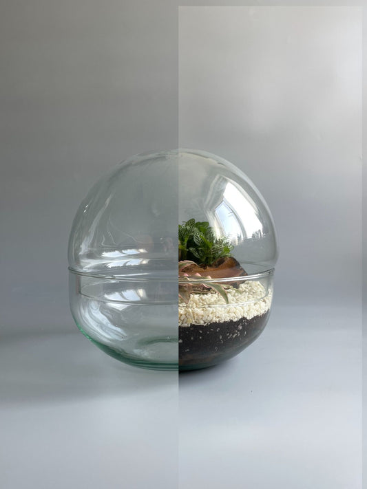 Glass Bowl Terrarium Container -  H: 19.5cm D: 18.5cm