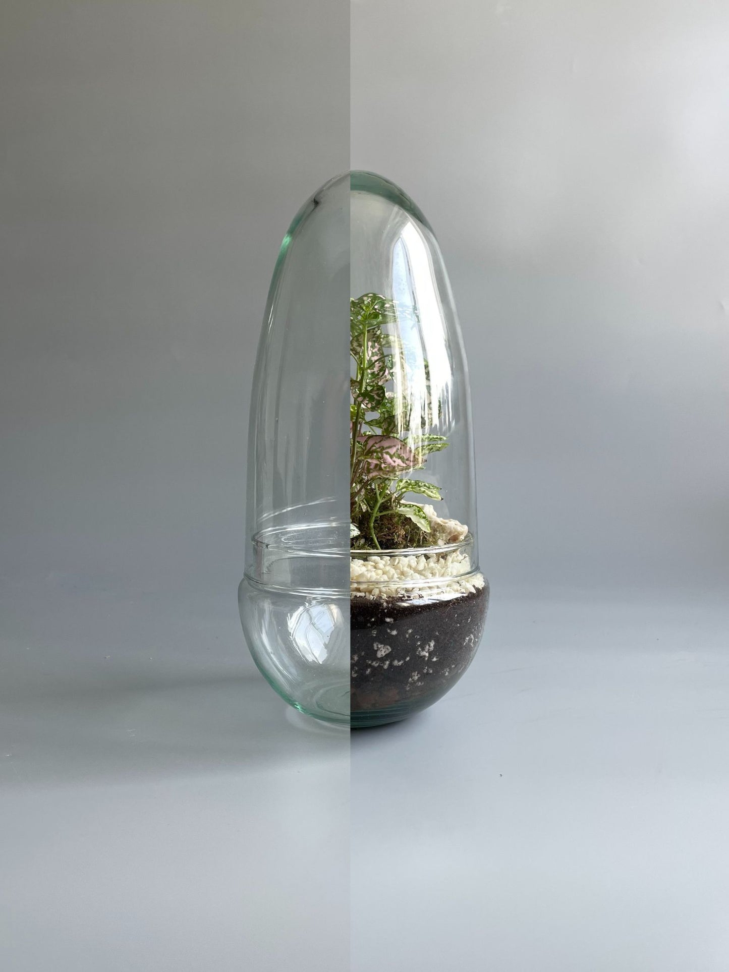 Glass Egg Terrarium Container - H: 25cm D: 12cm