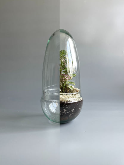 Glass Egg Terrarium Container - H: 25cm D: 12cm