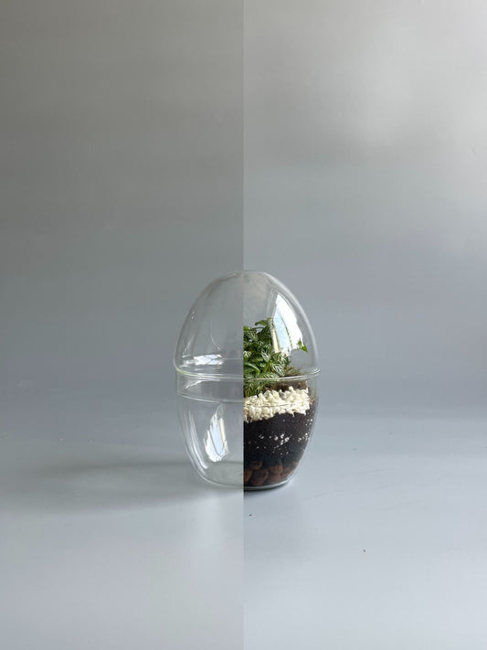 Glass Egg Terrarium Container - H: 14cm D: 9cm