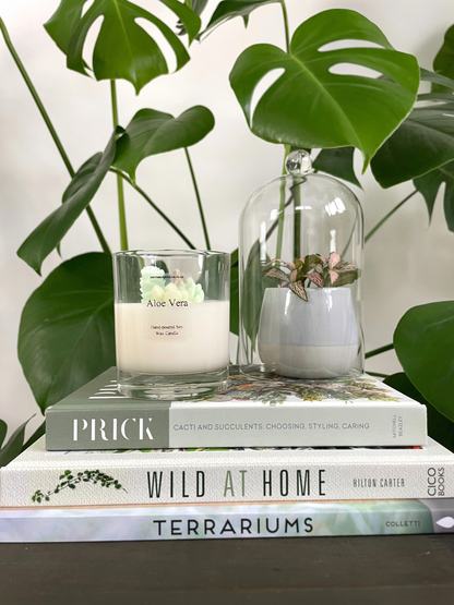 Cacti and Succulents Terrarium Candle - Aloe Vera