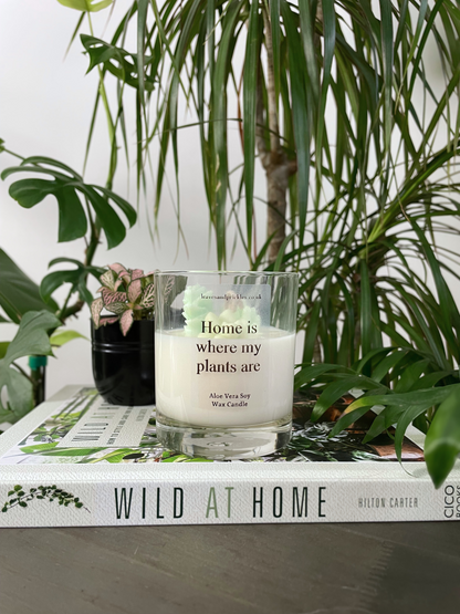 New Home Cacti and Succulents Terrarium Candle - Aloe Vera