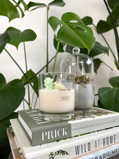 Cacti and Succulents Terrarium Candle - Aloe Vera