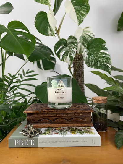 For Loved Ones Cacti and Succulents Terrarium Candle - Aloe Vera