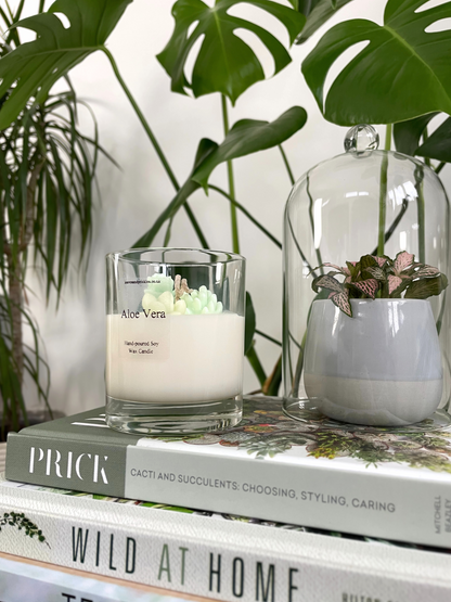 Cacti and Succulents Terrarium Candle - Aloe Vera