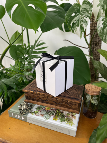 For Loved Ones Barrel  Cactus Candle