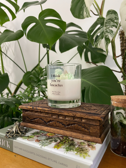 For Loved Ones Cacti and Succulents Terrarium Candle - Aloe Vera