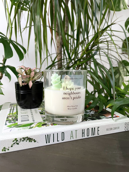 New Home Cacti and Succulents Terrarium Candle - Aloe Vera