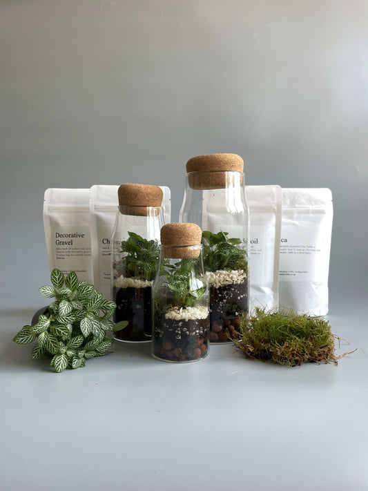 Bottle Terrarium Kit Bundle - S/M/L
