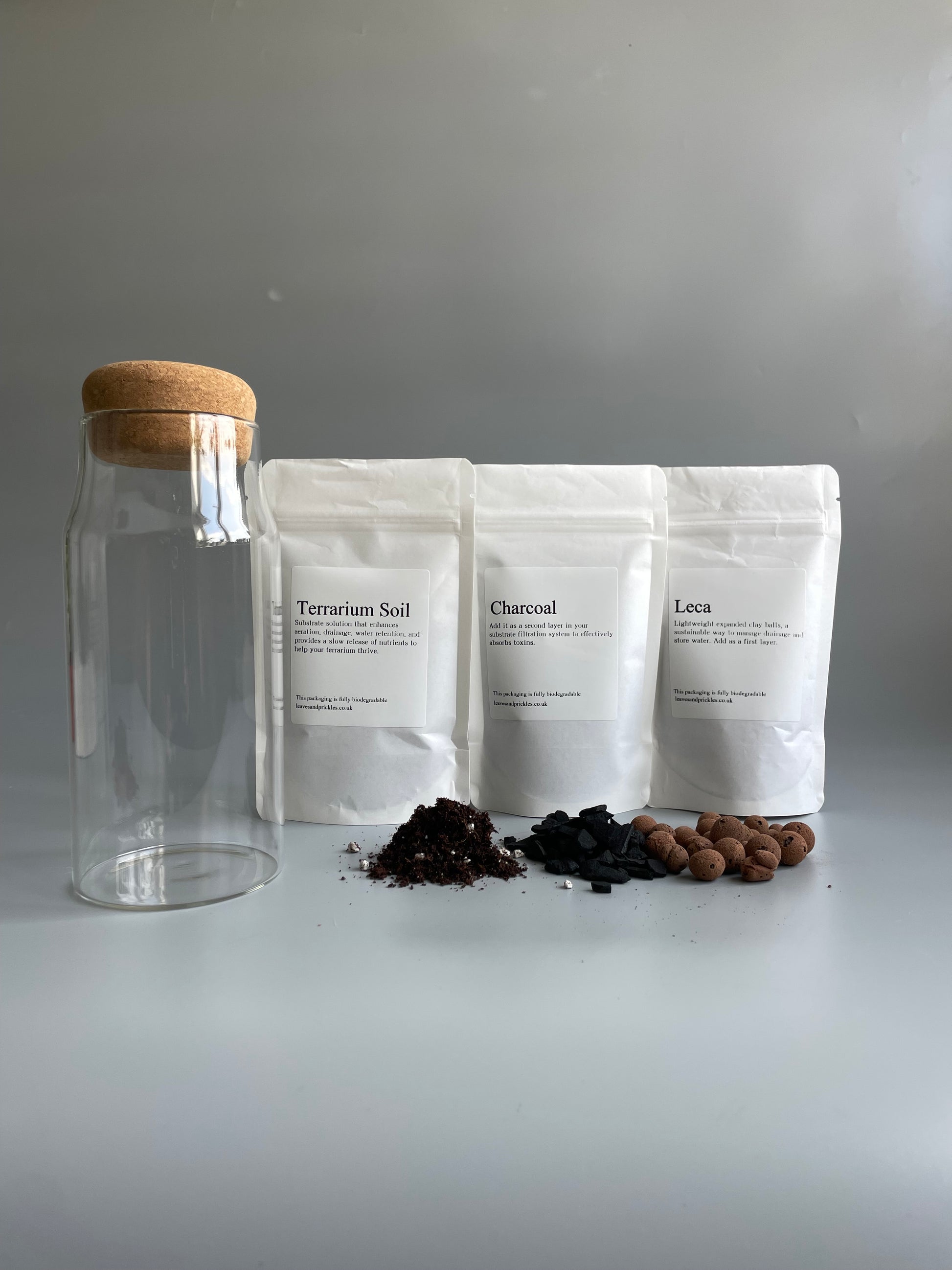 essential bottle terrarium kit 